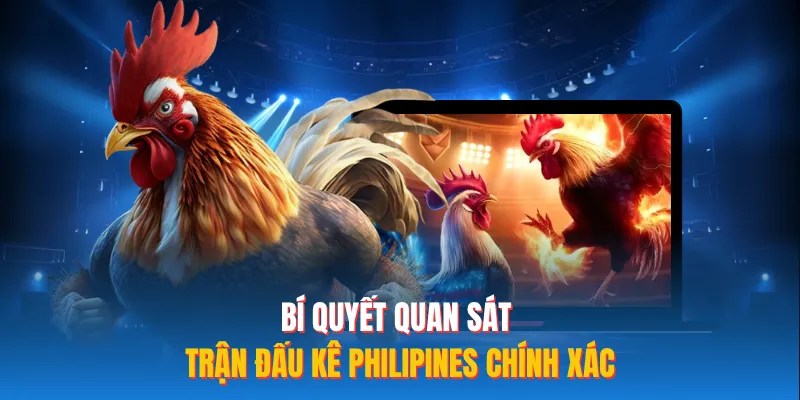 Bí quyết quan sát trận đấu kê philipines chính xác