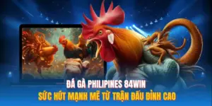 Đá Gà Philipines 84WIN Sức Hút Mạnh Mẽ Từ Trận Đấu Đỉnh Cao