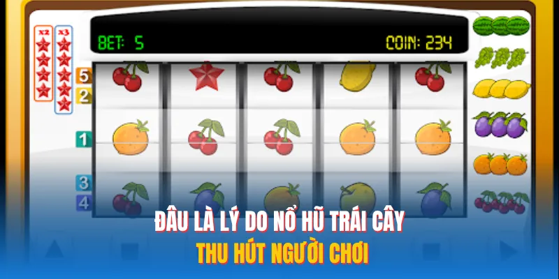 Đâu là lý do nổ hũ trái cây thu hút người chơi 