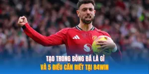 Kiến Tạo Trong Bóng Đá Là Gì Và 5 Điều Cần Biết Tại 84WIN