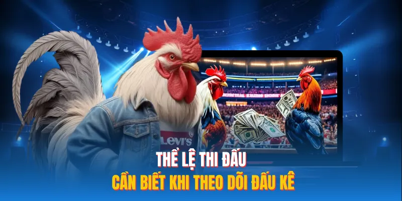 Thể lệ thi đấu cần biết khi theo dõi đấu kê
