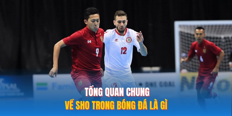 Tổng quan chung về SHO trong bóng đá là gì? 